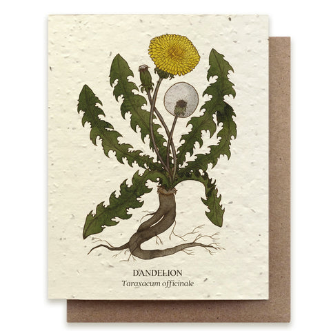 Dandelion Botanical Greeting Card
