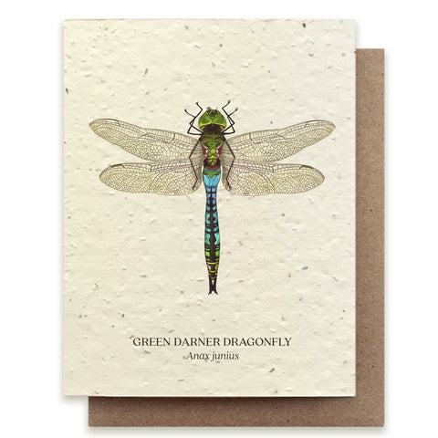 Dragonfly Insect Greeting Card