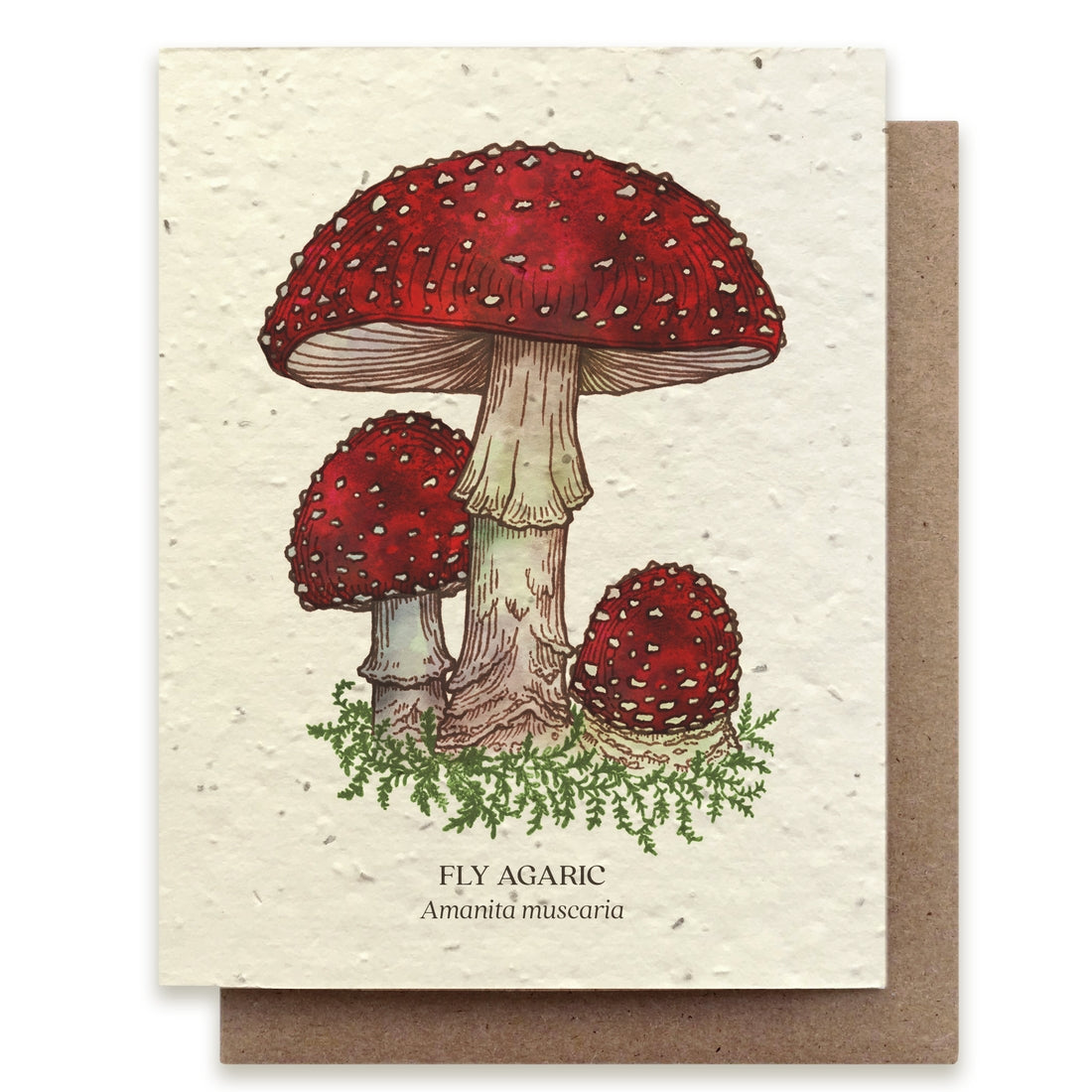 Fly Agaric Mushroom Greeting Card