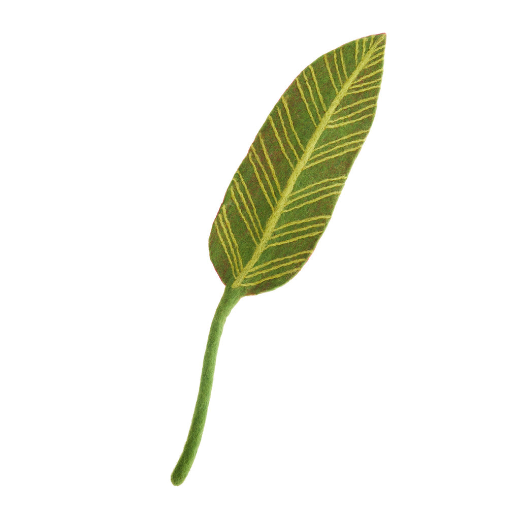 Calathea Leaf