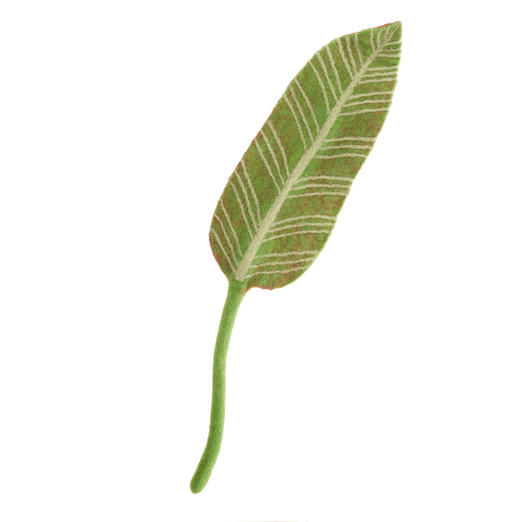 Calathea Leaf