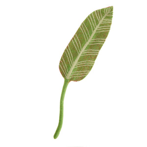 Calathea Leaf