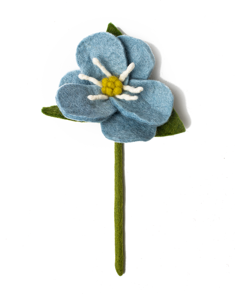 Hepatica Flowers