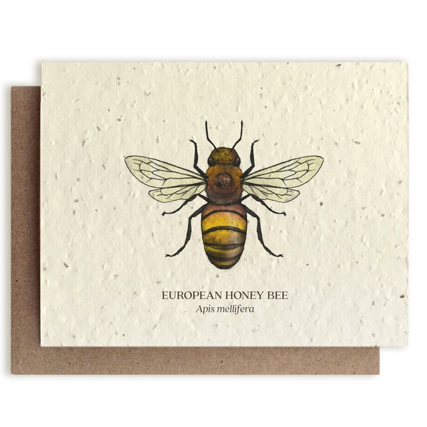 Honey Bee Insect Greeting Card
