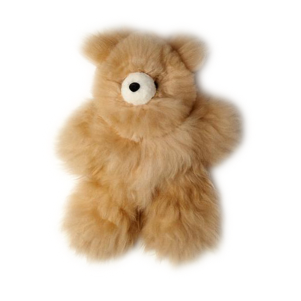 Pocket Teddy Bear