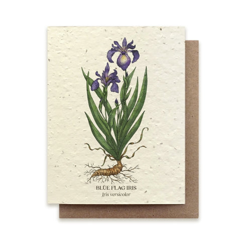 Blue Flag Iris Card