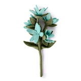 Watsonia Flowers