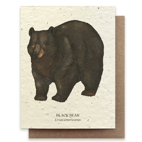 Black Bear Animal Greeting Card